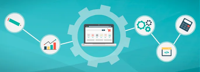 Successful E-commerce Project Case